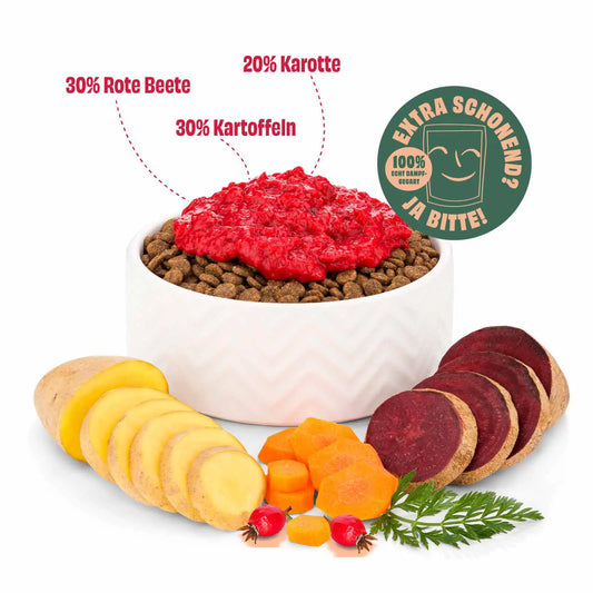 Mixpaket 6er Gemüse-Toppings