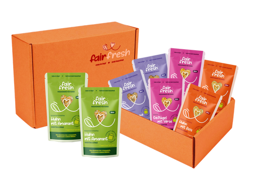 Probierpaket Komplettmenü 8 Portionen