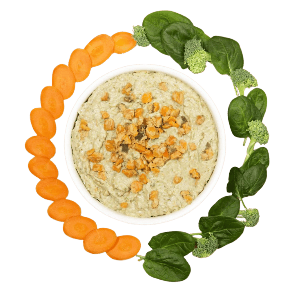 Schmackhafte FAiRsuchung Huhn mit Gemüse (feine Mousse in eigenem Sud)