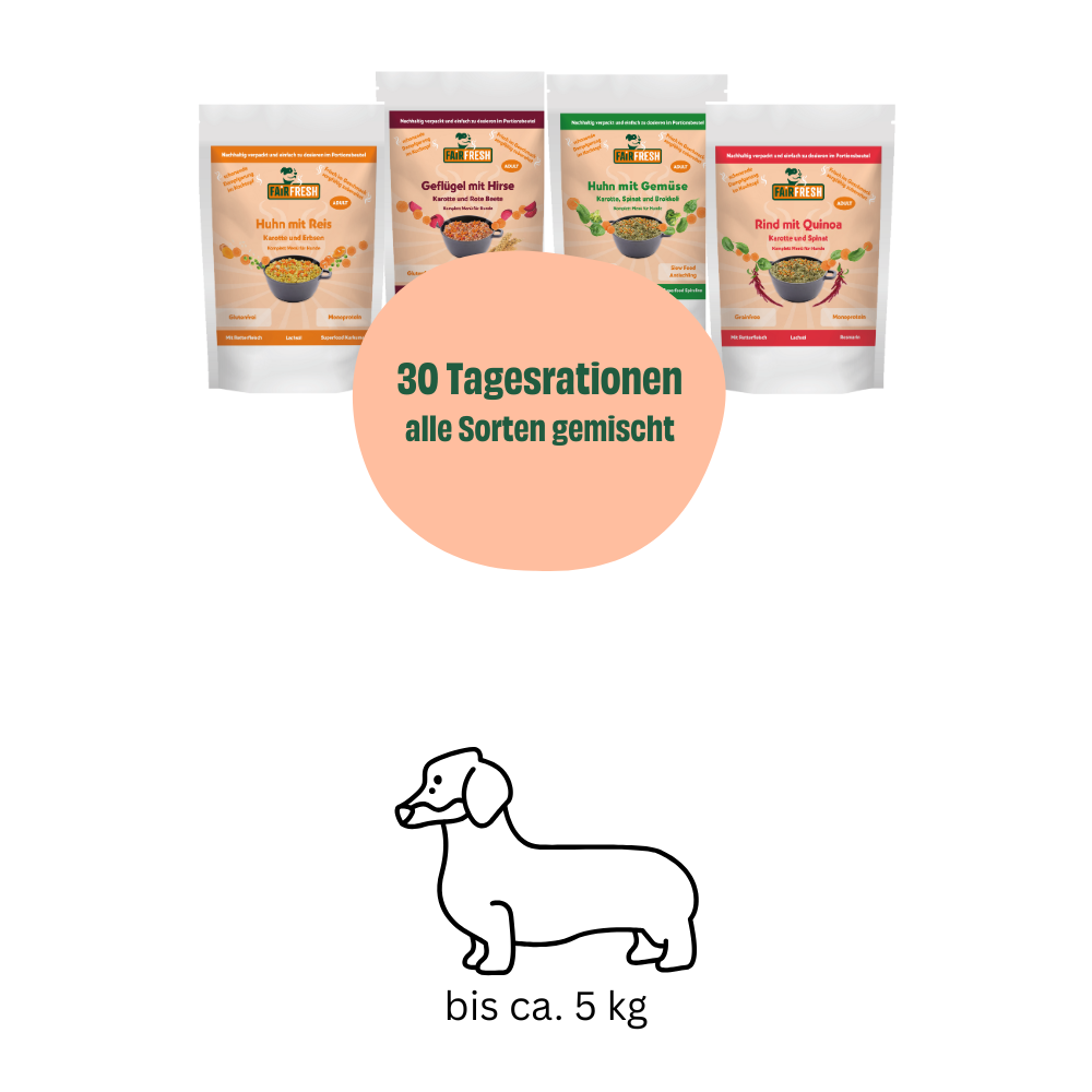 Monatspaket kleine Hunde (5 kg)