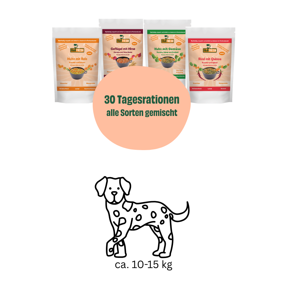Monatspaket mittel große Hunde (10-15 kg)