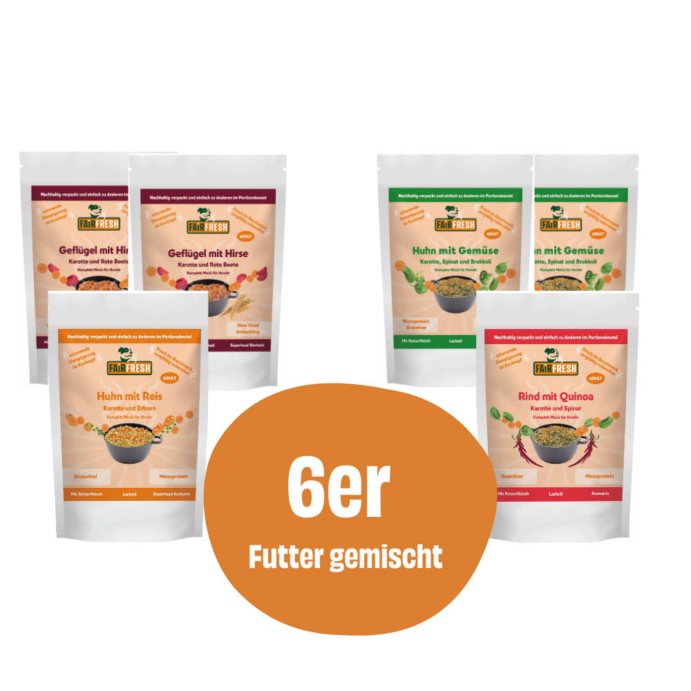 Mixpaket Komplettmenü 6 Portionen