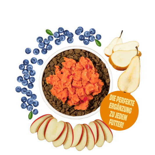Topping für Hunde - Apfel, Birne, Blaubeere (feines Püree)