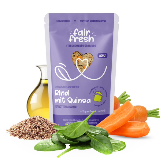 Rind mit Quinoa, Karotten und Spinat