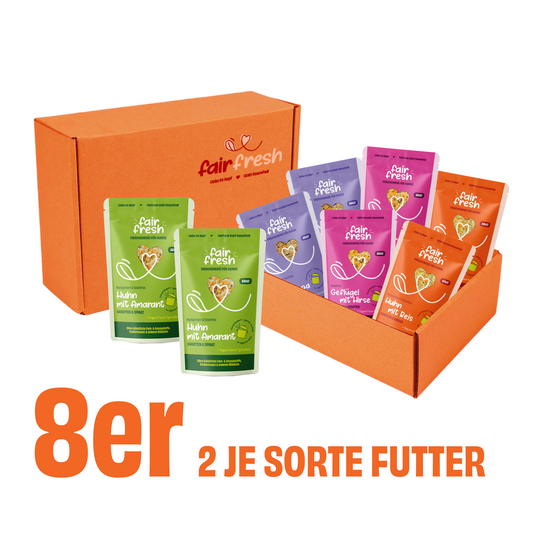 Probierpaket Komplettmenü 8 Portionen