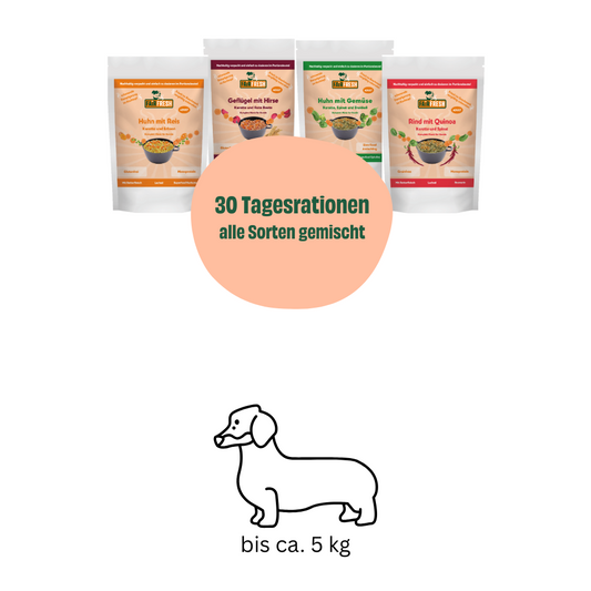 Monatspaket kleine Hunde (5 kg)
