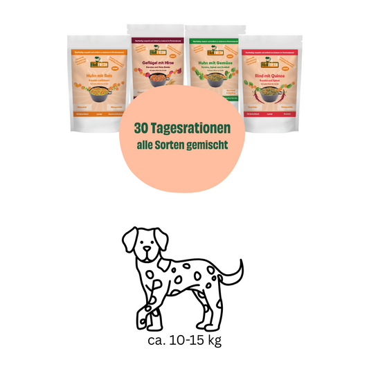 Monatspaket mittel große Hunde (10-15 kg)