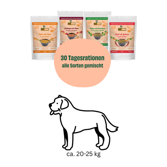 Monatspaket große Hunde (20-25 kg)