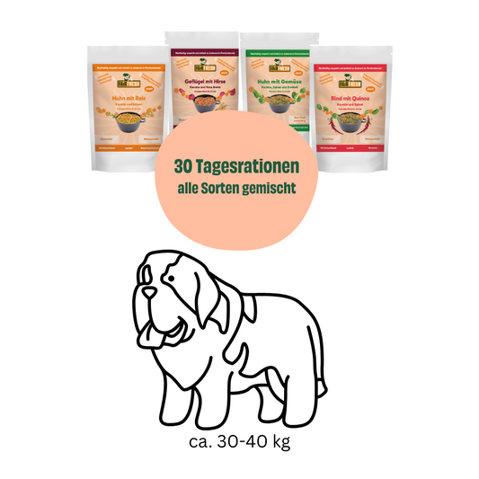 Monatspaket für sehr große Hunde (30-35 kg)
