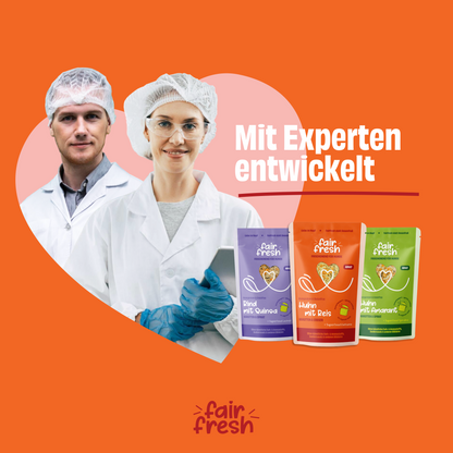 Rind mit Quinoa, Karotten und Spinat