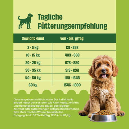 Huhn mit Amaranth, Karotten und Spinat