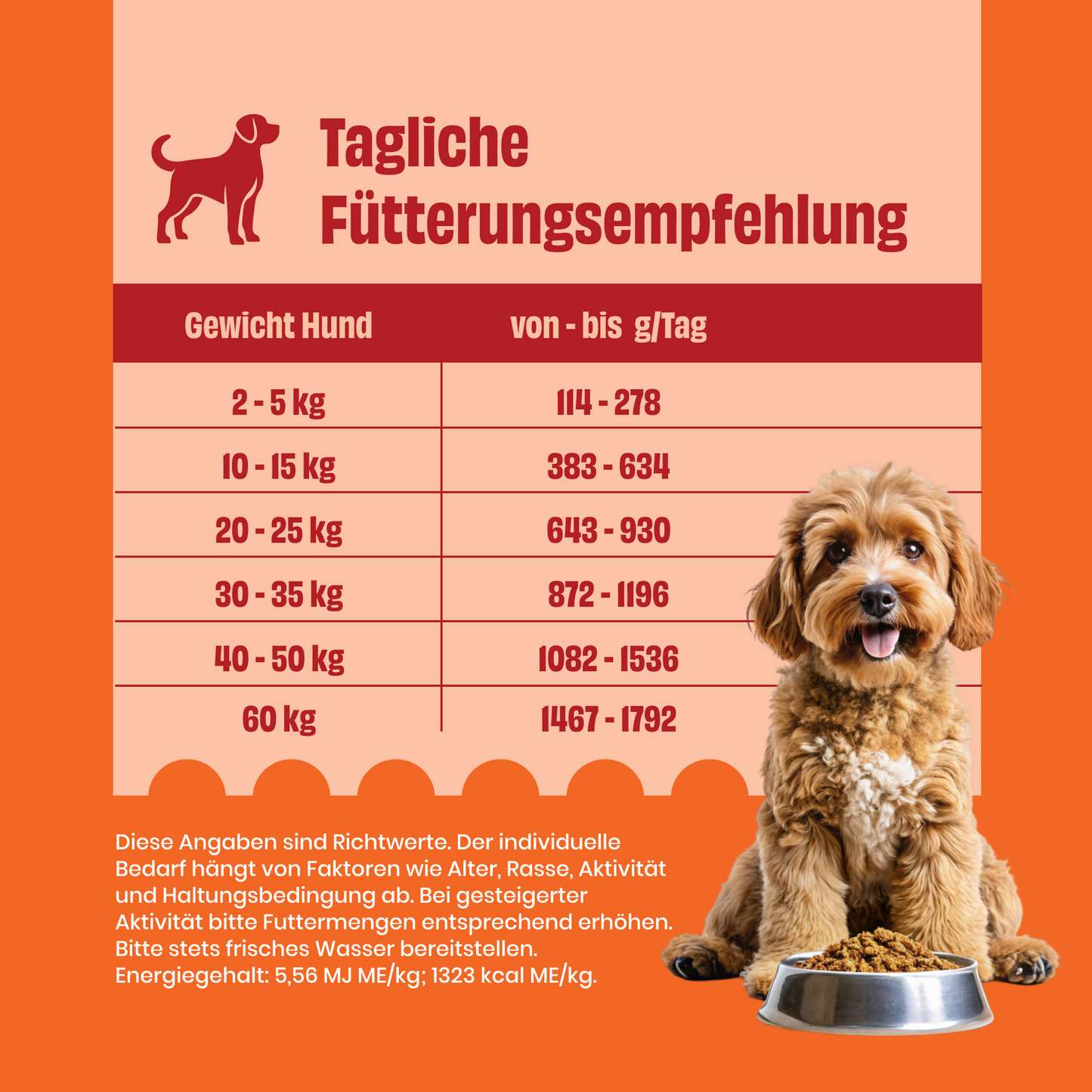 Huhn mit Reis, Karotten und Erbsen