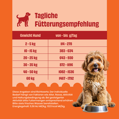 Huhn mit Reis, Karotten und Erbsen