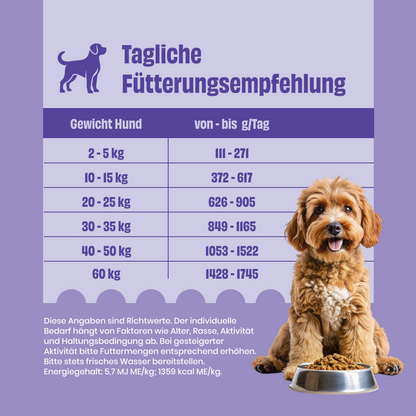 Rind mit Quinoa, Karotten und Spinat